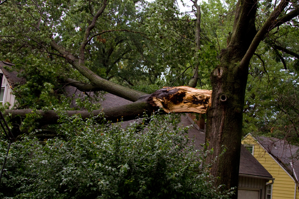 The tree fell on the roof of the home.
