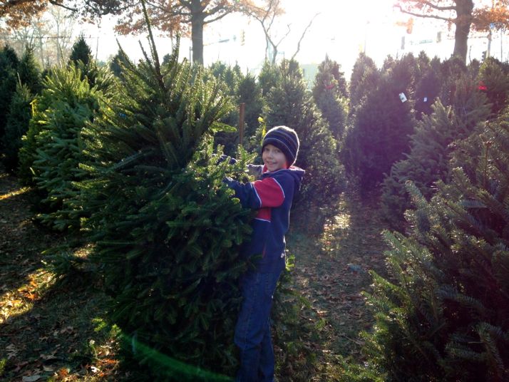 A Scout from Troop 199 at St. Michael's helps with Christmas tree sales Sunday.