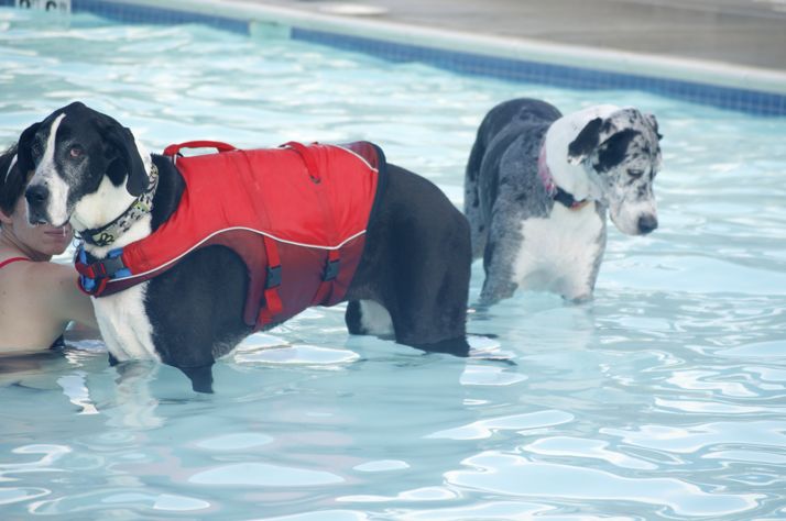 Notre (L) and Heidi weren't quite as sure about getting in too deep.
