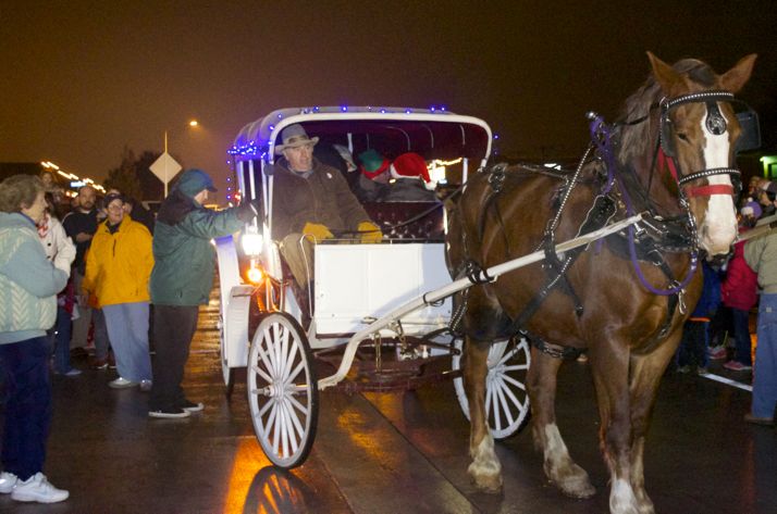 Rides in a horse-drawn carriage were a big hit at the festival.