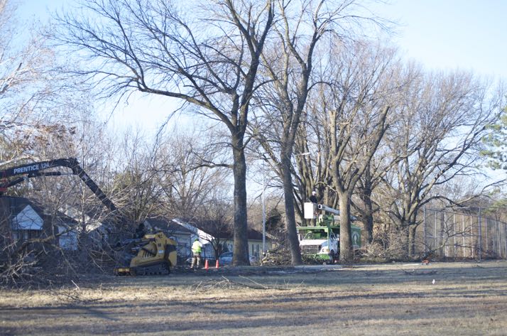 Crews were continuing to cut trees this morning in the park.