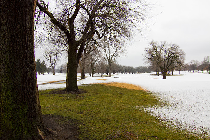 A significant portion of Meadowbrook's 136 acres could become a new county park, according to Prairie Village city officials.