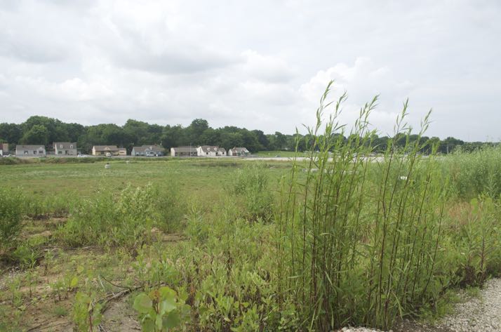 The weeds continue to grow on the vacant Gateway property. The city recently had its abatement contractor mow at the site.