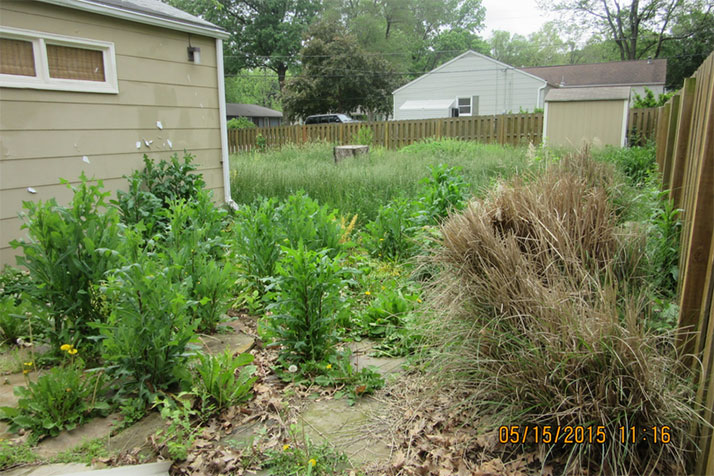 A photo of an overgrown Prairie Village backyard from Wes Jordan's presentation to the council earlier this month. Photo courtesy city of Prairie Village.