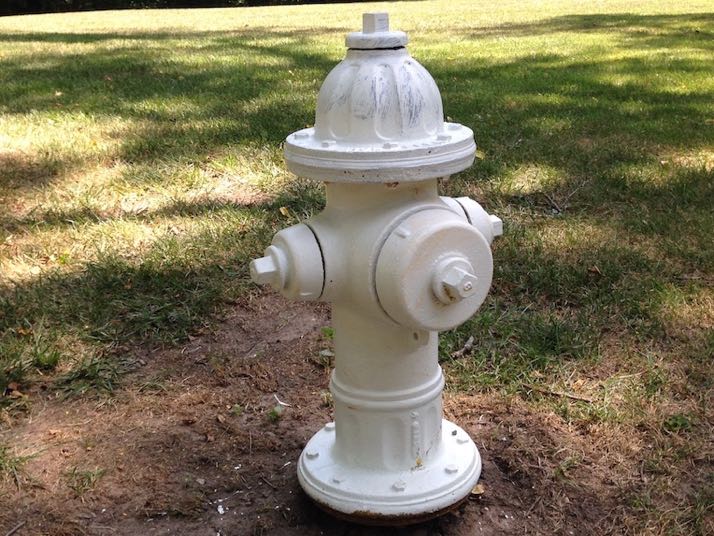 Those fire hydrants won't stay white for long.