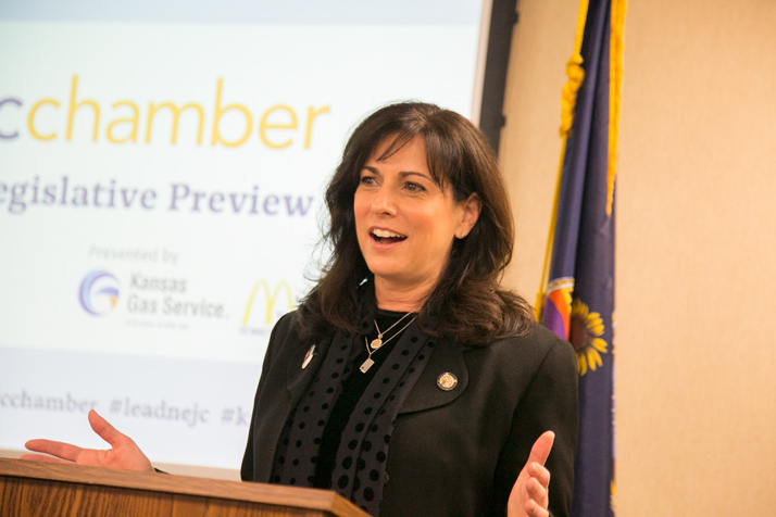 Rep. Melissa Rooker leads all area House members with more than $85,000 cash on hand.