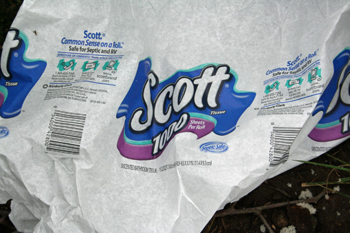 Scott_TP