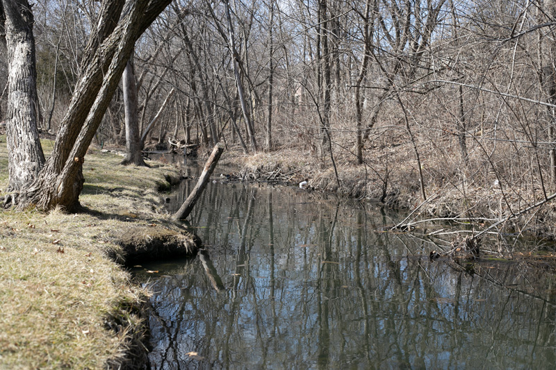 Negro Creek