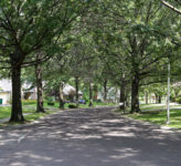 Canopy Street Award