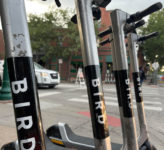 Prairie Village Bird scooters